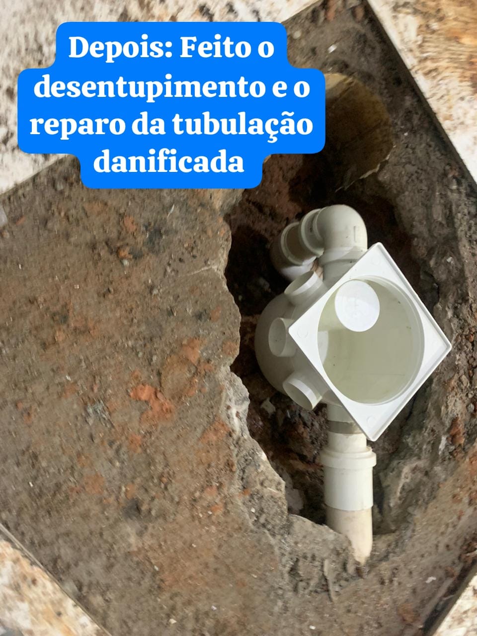 vazaza.jpg